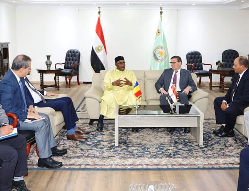 مصر وتشاد يبحثان خارطة طريق لتعزيز الاستثمار المشترك في الثروة الحيوانية