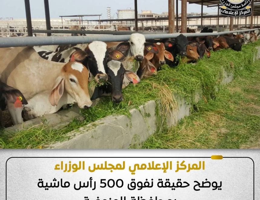 المركز الإعلامي لمجلس الوزراء يوضح حقيقة نفوق 500 رأس ماشية بمحافظة المنوفية - جريدة البوست الأقتصادى 