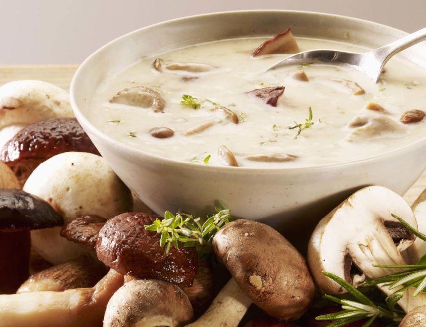 قهوة الفطر.. بديل جديد للكافيين تحت المجهر