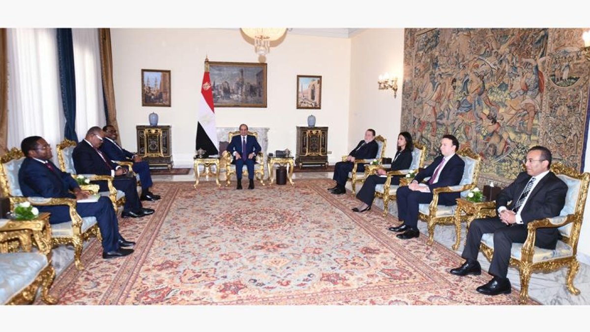 الرئيس السيسي يستقبل رئيس مجموعة بنك التنمية الأفريقي