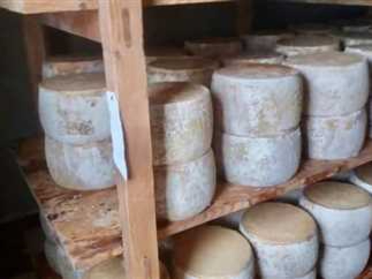 ضبط مدير مخزن بحوزته منتجات ألبان غير صالحة للإستهلاك الآدمى