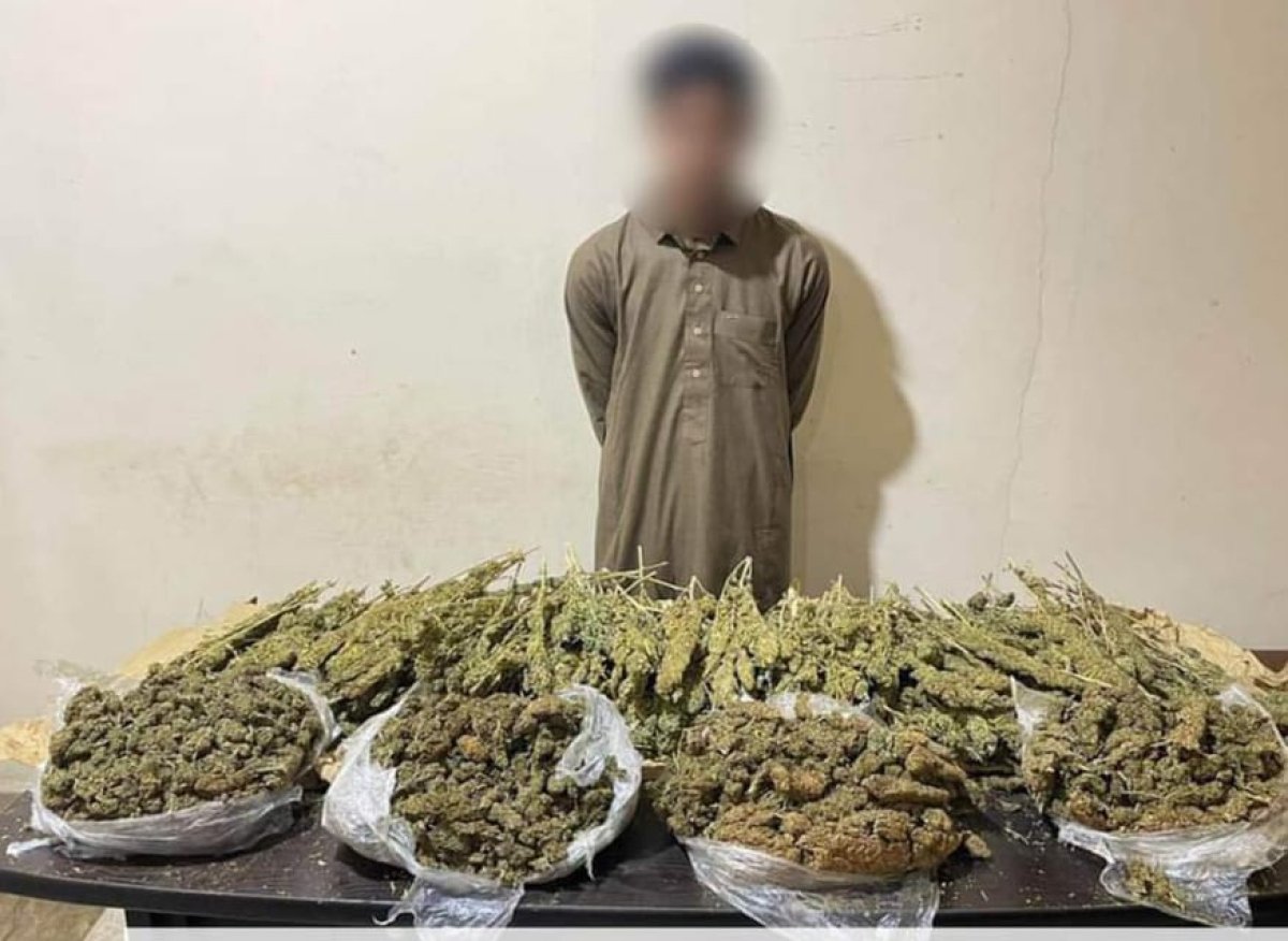 سقوط تاجر مخدرات بحوزته هيدرو وبانجو بــ 630 ألف جنيه