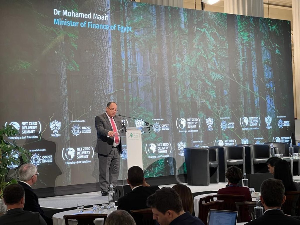 وزير المالية: حافز يصل إلى 35٪؜ من تكلفة إنتاج كل سيارة كهربائية محلية