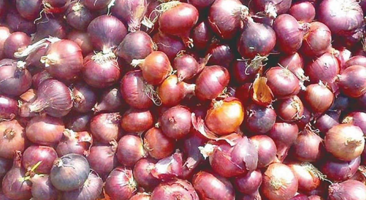 الهند تواجه التضخم برفع ضريبة الصادرات على البصل 