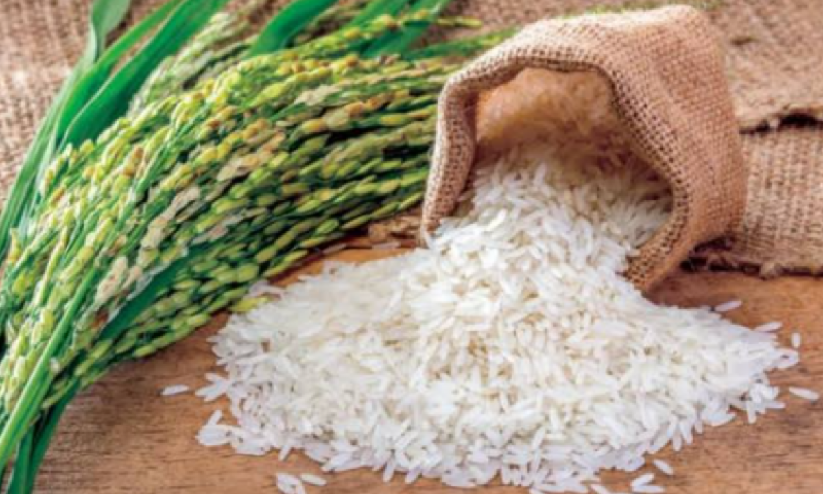 بسبب حظر التصدير بالهند و الأحوال الجوية.. قفزة جنونية بأسعار الأرز العالمية 