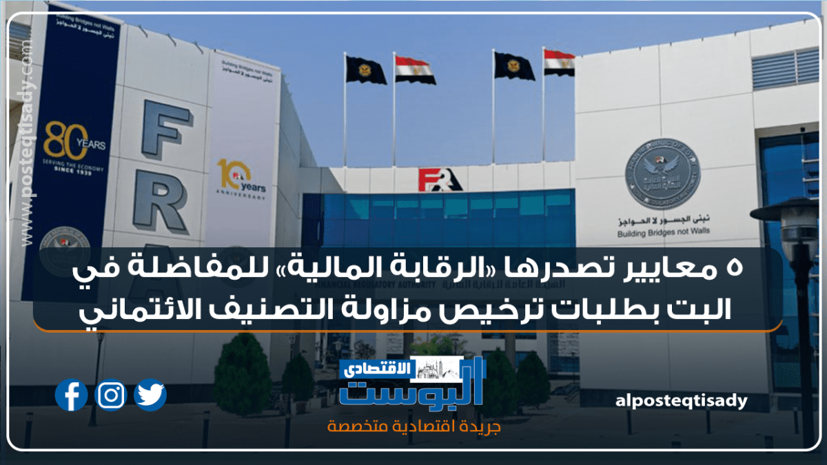 إنفوجراف.. 5 معايير تصدرها «الرقابة المالية»