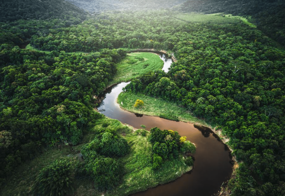 شنايدر إلكتريك تطلق أحدث حلولها من أجل مستقبل رقمي جديد للاستدامة