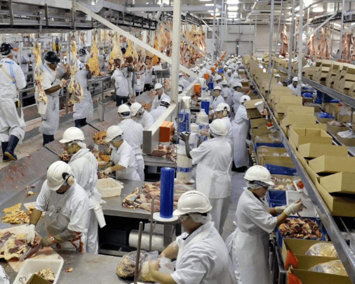 مقترحات جديدة لدعم الصناعة الوطنية للأغذية وزيادة الإنتاج والتصدير