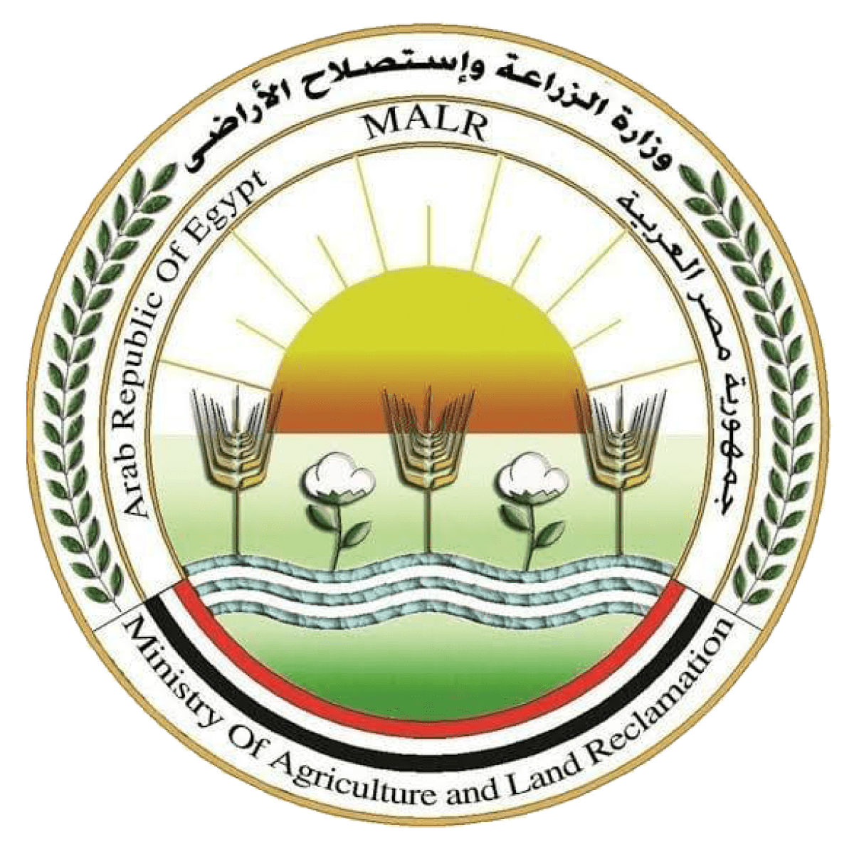 الزراعة تنشر  حصاد الأسبوع رقم ١٦٤  لأنشطة الوزارة