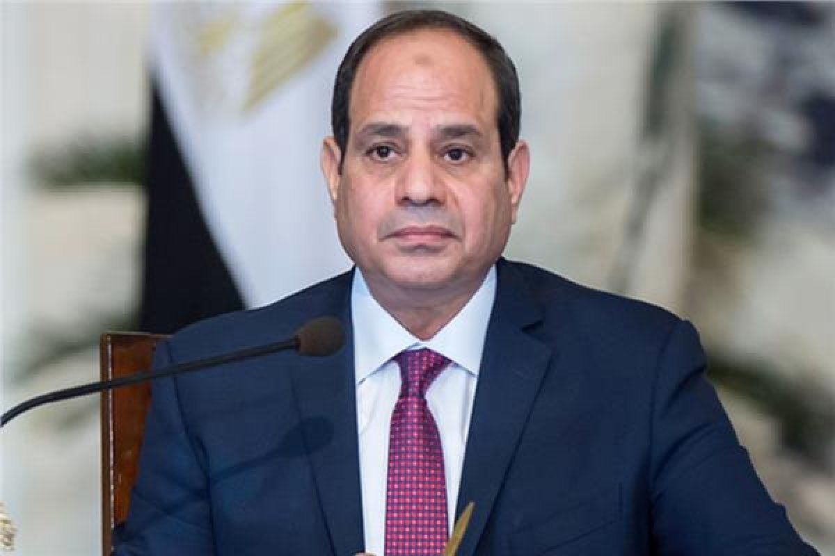 الرئيس السيسي يوقع قانونا باستثناء قيد بعض الشركات من بعض أحكام قانون سجل المستوردين