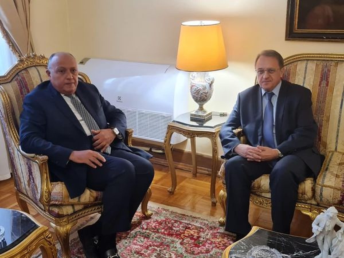 "المنطقة الصناعة الروسية ومحطة الضبعة".. أبرز مباحثات سامح شكري مع نائب وزير خارجية موسكو