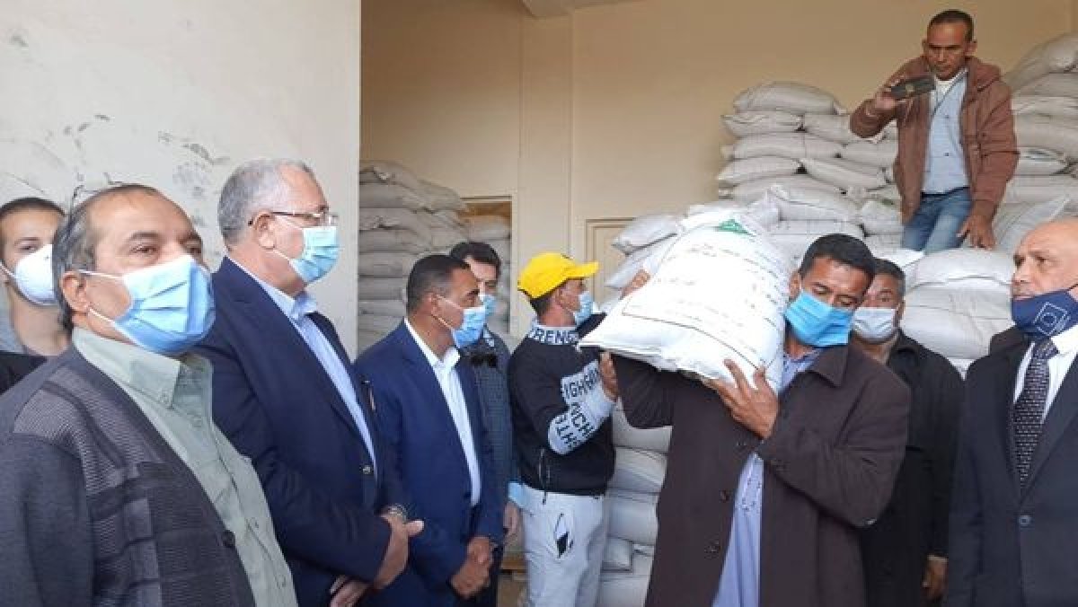 "القصير" يوزع 140 طن تقاوي شعير مجانا على مزارعي مطروح لزراعة المناطق المطرية