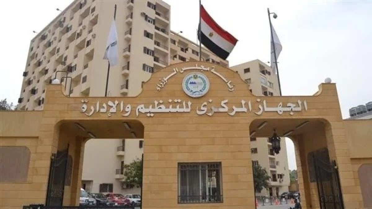 التنظيم والإدارة: مسابقة لتعيين 243 موظفا بمصلحة الخبراء بوزارة العدل.. اعرف التفاصيل