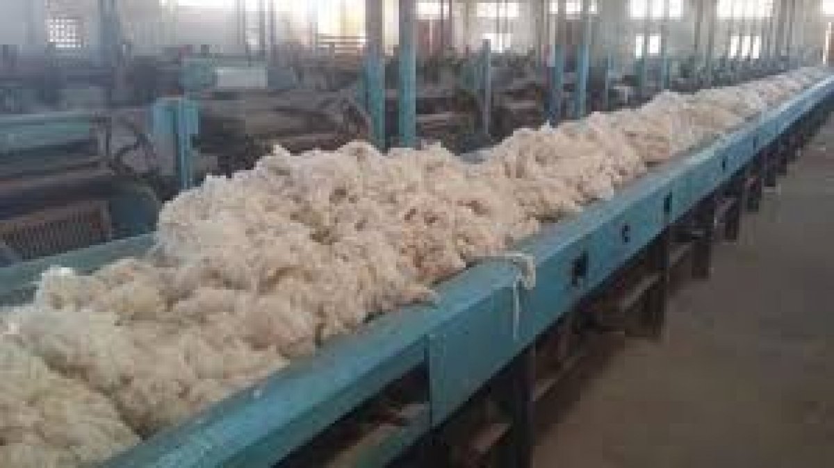 وزارة قطاع الأعمال: محلج الفيوم المطور.. أولى ثمار خطة النهوض بالقطن المصري وصناعة الغزل والنسيج