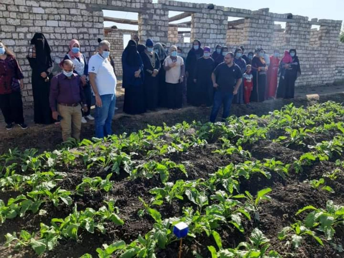 وزير الري: بإمكانيات بسيطة تصنيع جهاز حساس لقياس درجة رطوبة التربة 