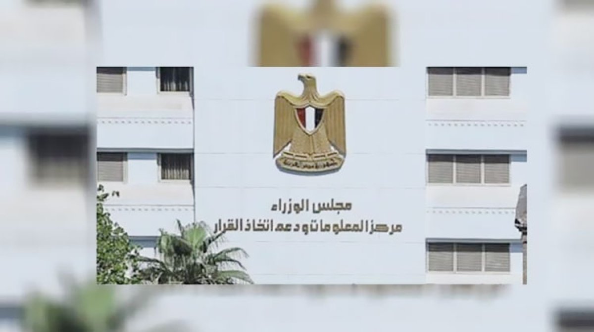 تعرف على قرار الحكومة بشأن تصفية شركة "إدفينا" للصناعات الغذائية لصالح مستثمرين أجانب