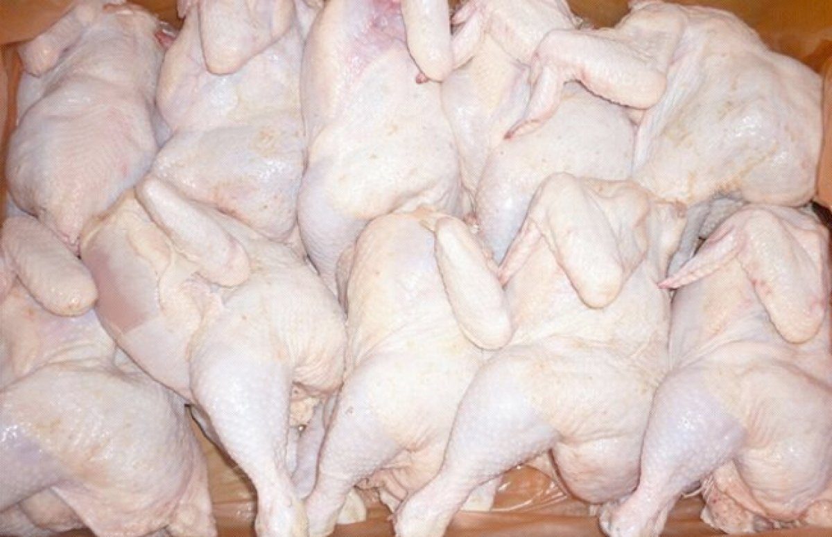 قرار الحكومة بشأن ارتفاع أسعار الدواجن المجمدة في المجمعات الاستهلاكية