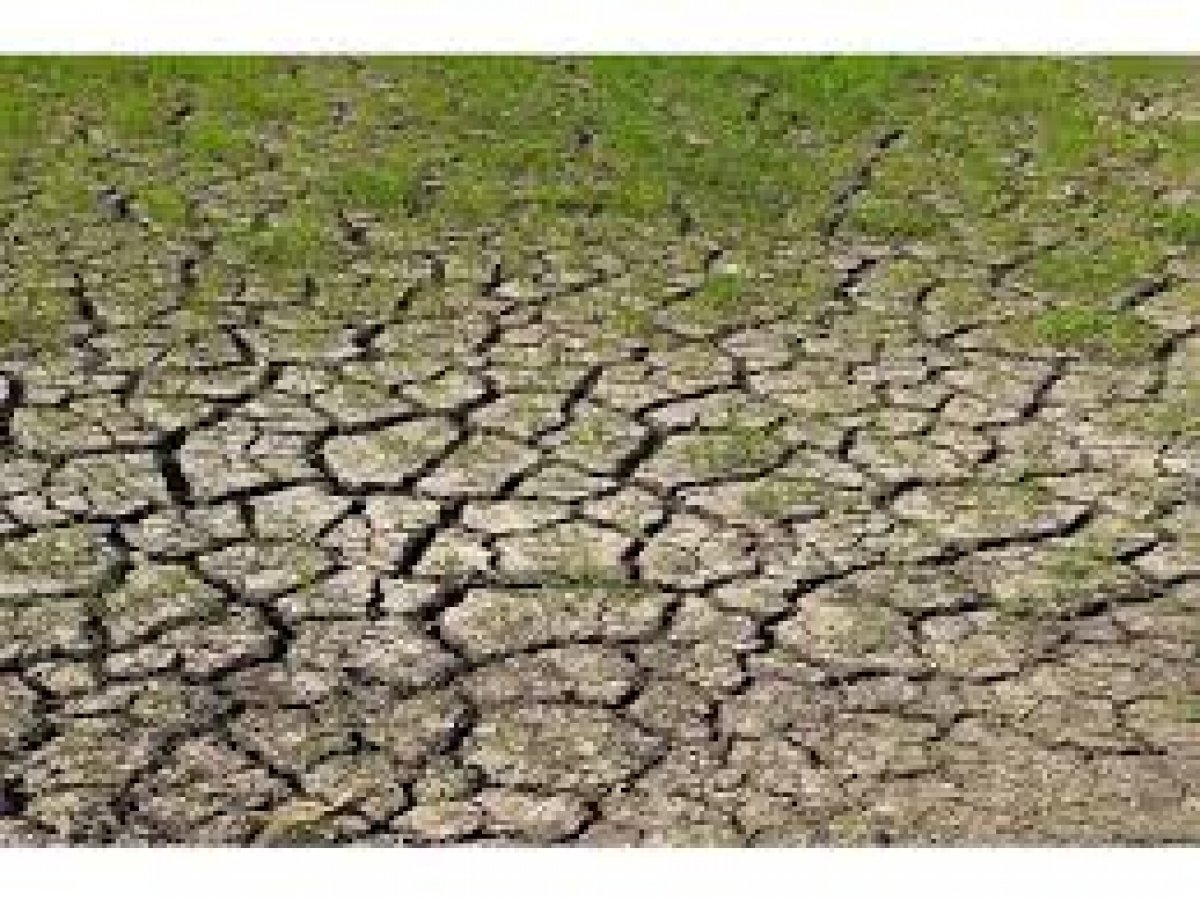 هل يوجد عجز في مياه الري يؤدي لبوار الأراضي الزراعية بالفيوم.. الحكومة تجيب