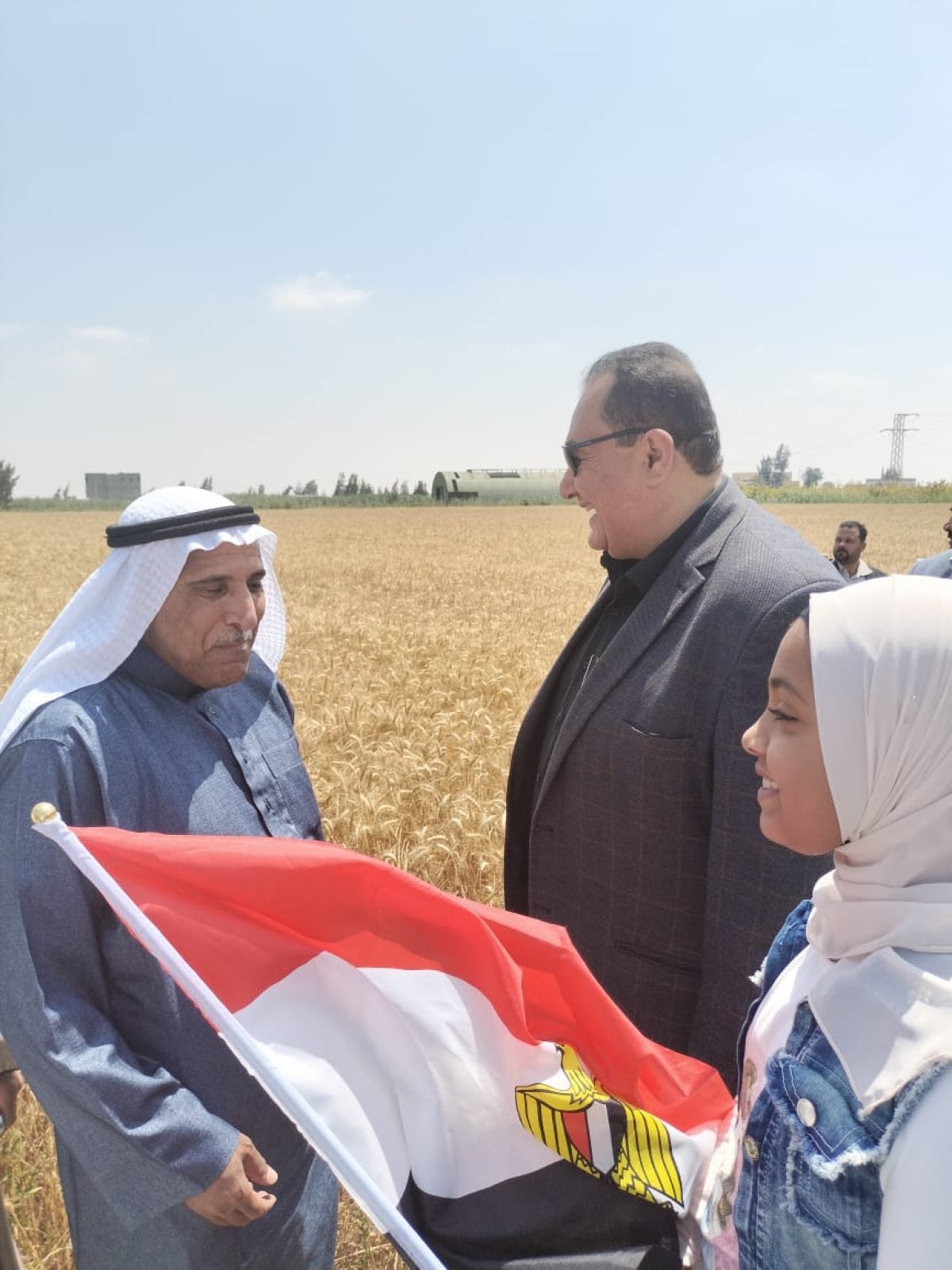 «الزراعة»: افتتاح موسم حصاد القمح في سيناء.. صور