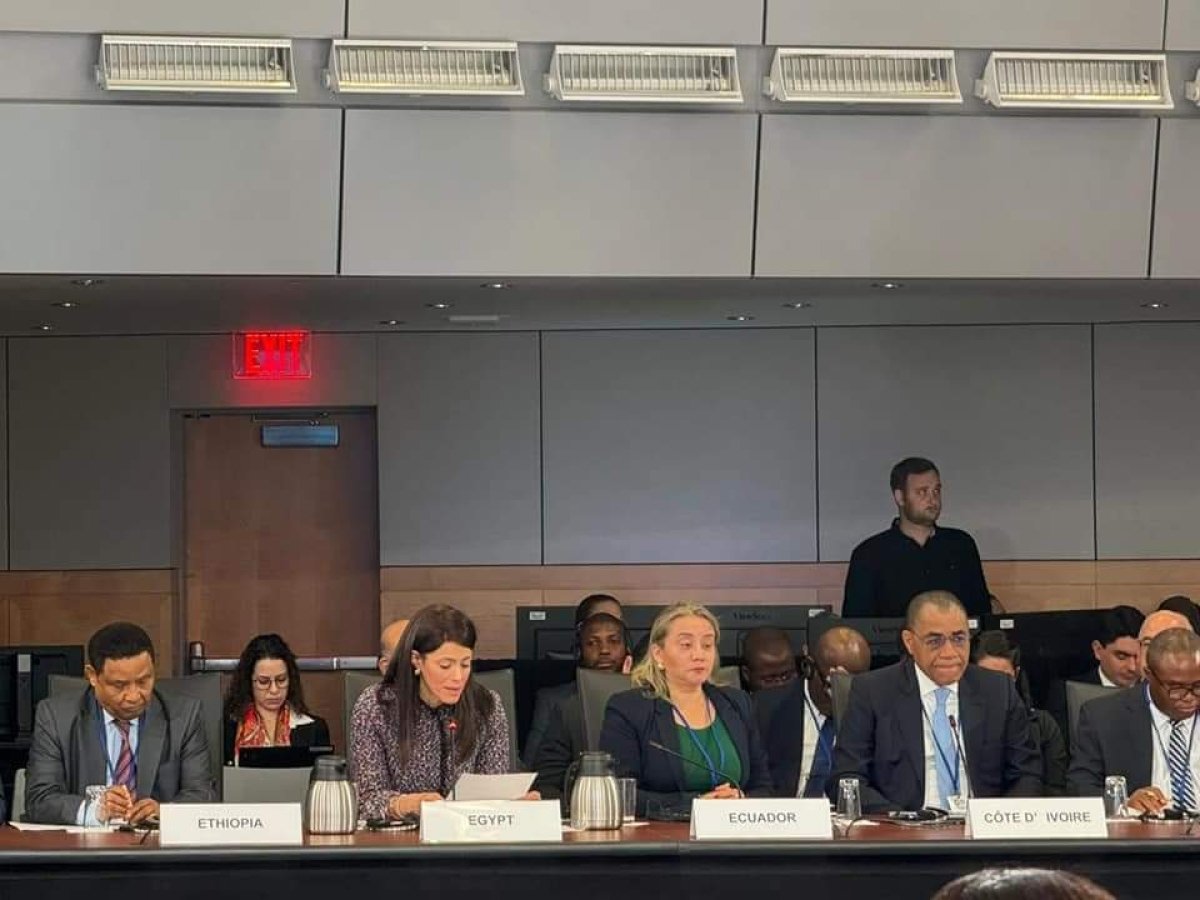 «المشاط» من واشنطن تُطالب المجتمع الدولي بضرورة التوسع في أدوات التمويل المبتكرة ومبادلة الديون