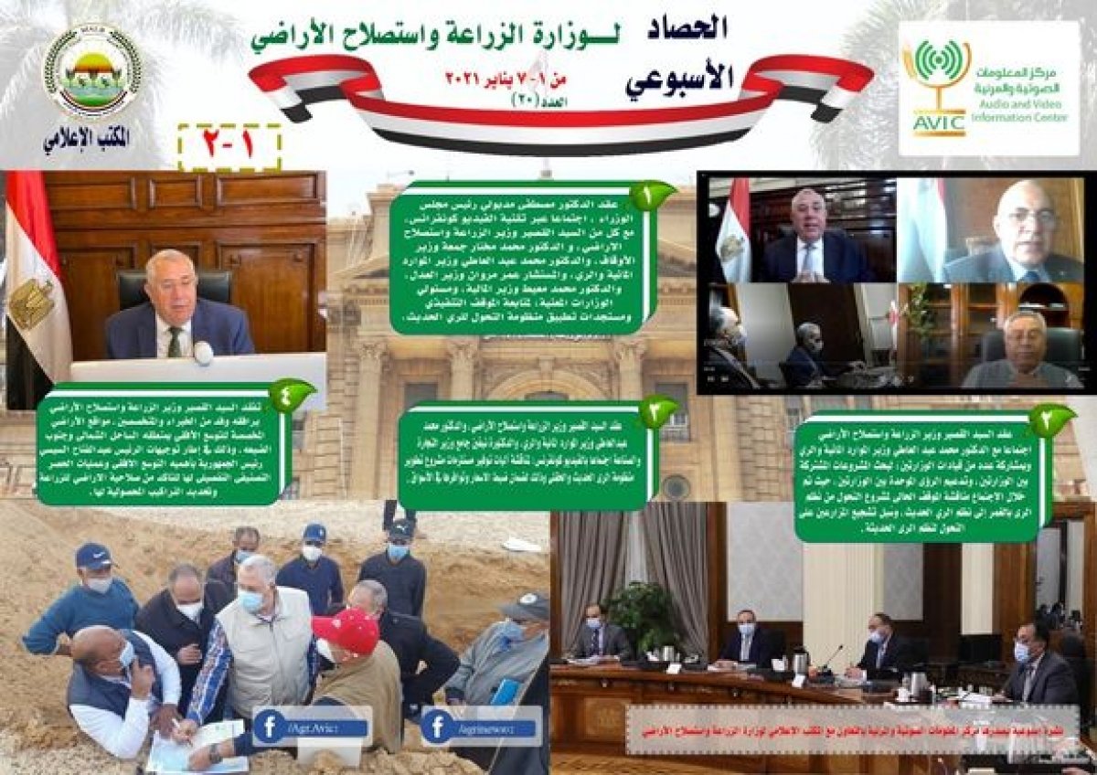بالإنفوجراف.. تعرف على أهم انجازات وزارة الزراعة خلال أسبوع