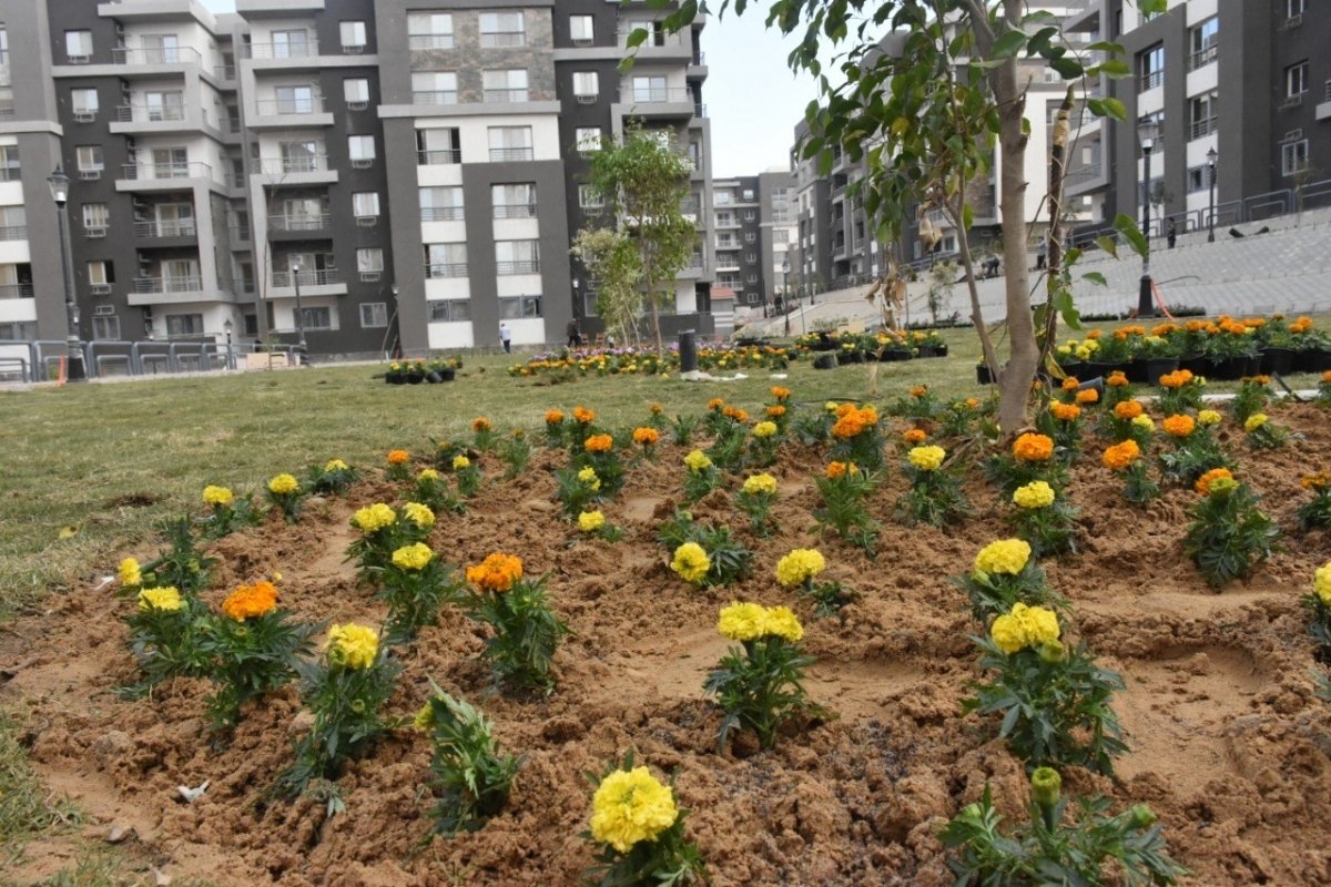 الجزار: بدء تسليم 1512 وحدة سكنية بمشروع "JANNA" بمدينة القاهرة الجديدة مطلع الشهر المقبل