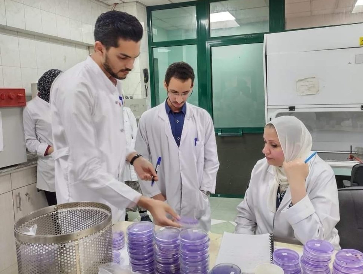 الزراعة: فحص مليون طن بطاطس بمعامل《مكافحة العفن البني》