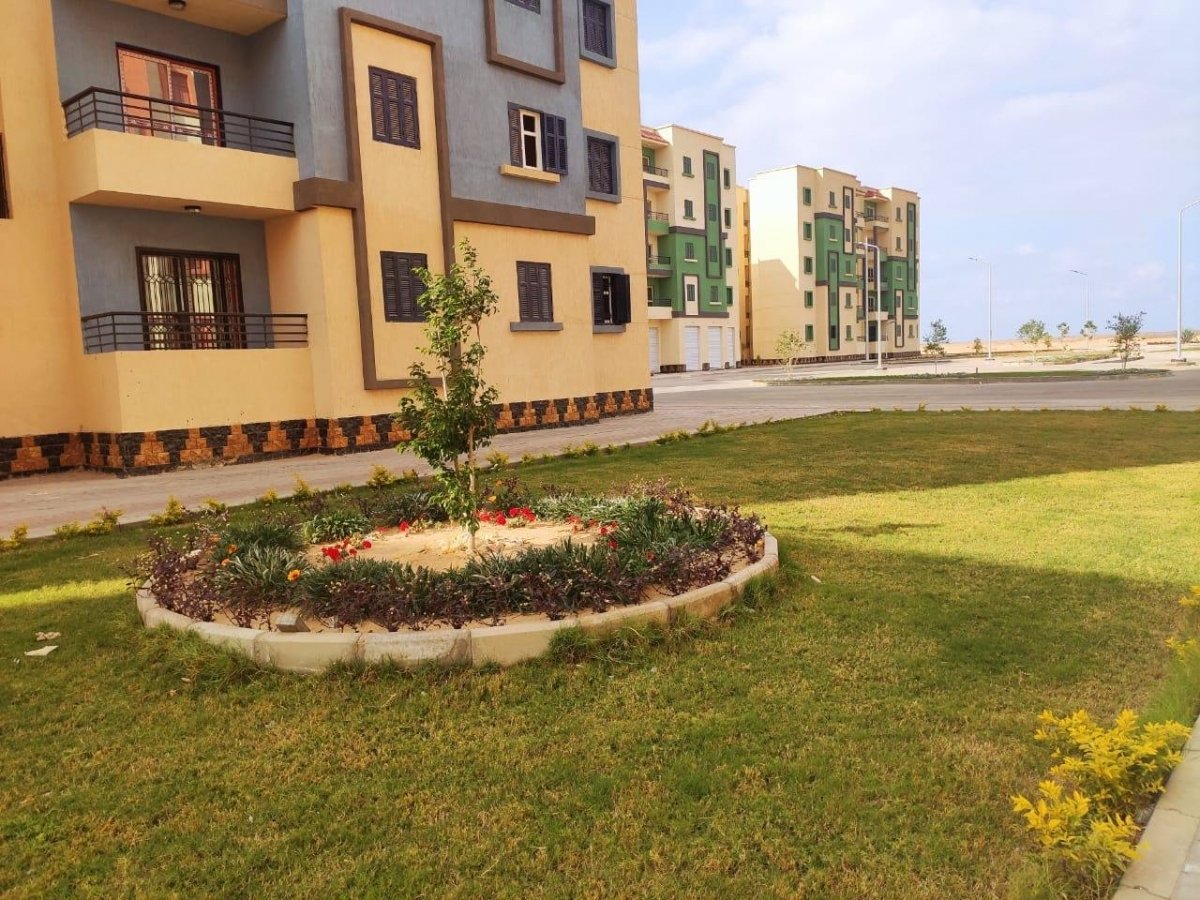 "الجزار": تم وجارٍ تنفيذ 5640 وحدة بـ "سكن كل المصريين" بمدينة السادات