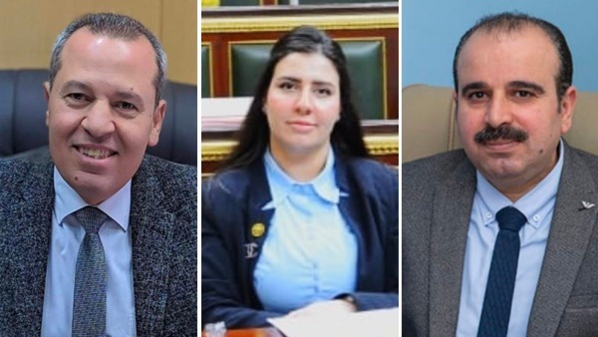 برلمانية تشكر "صحة الدقهلية" لاهتمامهم بوحدة حضانات قرية ميت خميس