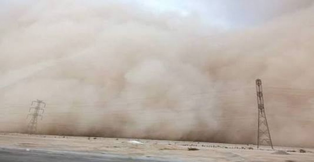  "البيئة" تنصح كبار السن والمصابين بالأمراض الصدرية تجنب التواجد بالأماكن المكشوفة