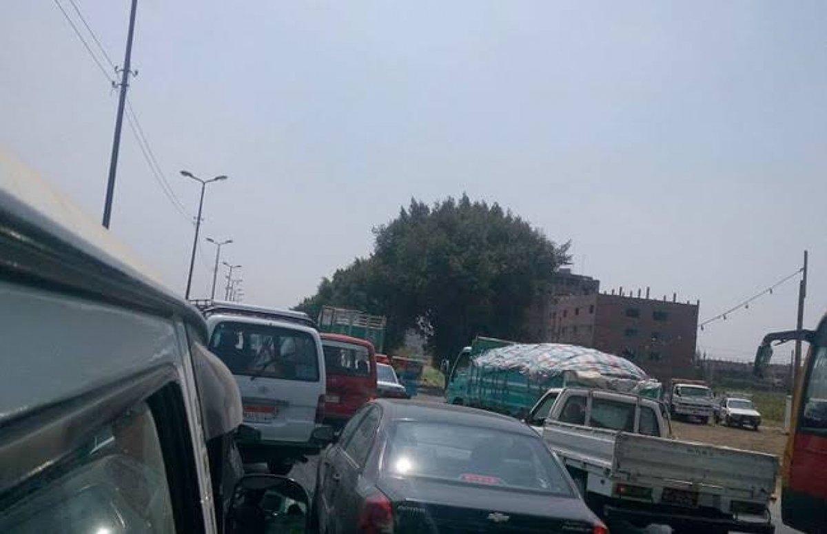 بسبب انقلاب قطار طوخ.. شلل مرورى يضرب الطريق الزراعى