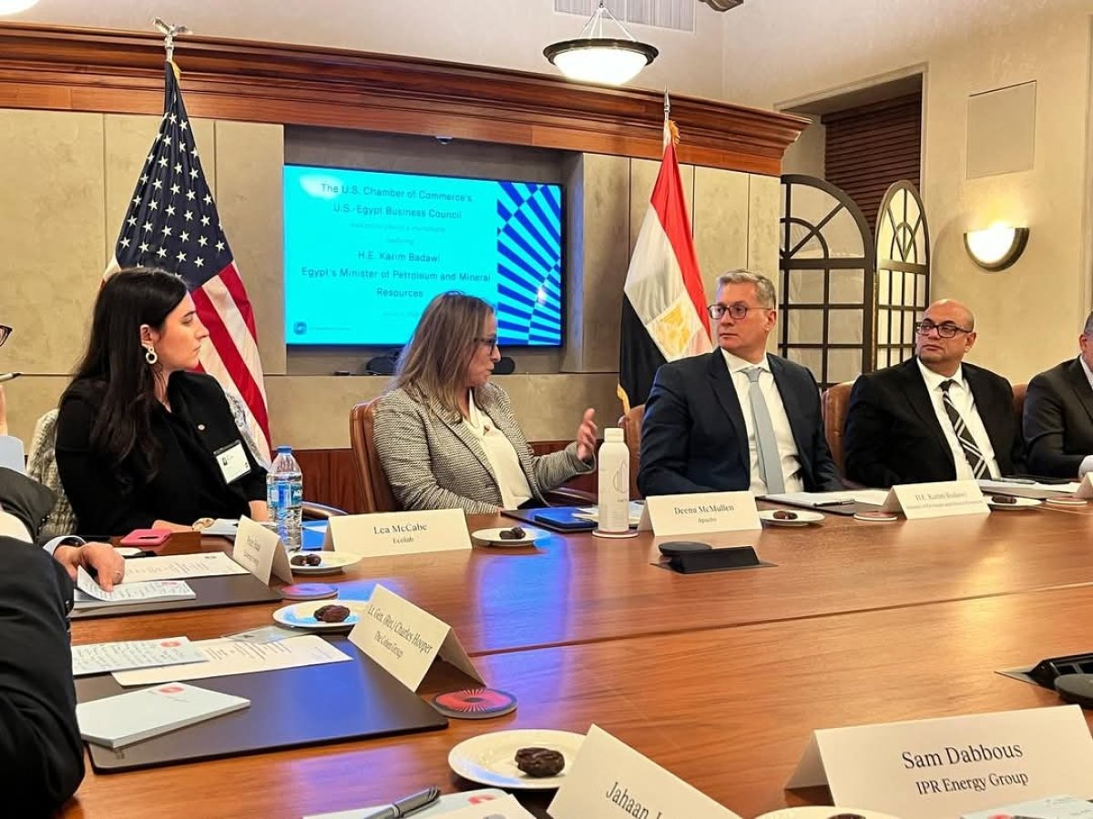 وزير البترول يشارك في القمة العاشرة للطاقة بإفريقيا