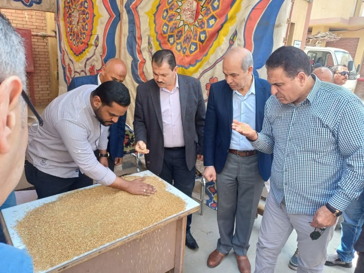 افتتاح موسم توريد القمح المحلي لعام 2025 بمحافظة الفيوم نظراً لنضج المحصول مبكرًا