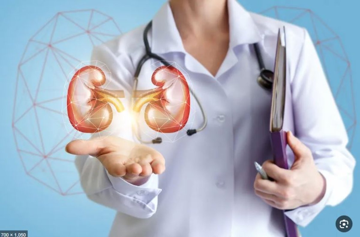 بينها المسكنات والتدخين وقلة النوم.. تعرف على العادات الشائعة التي تضر بالكلى