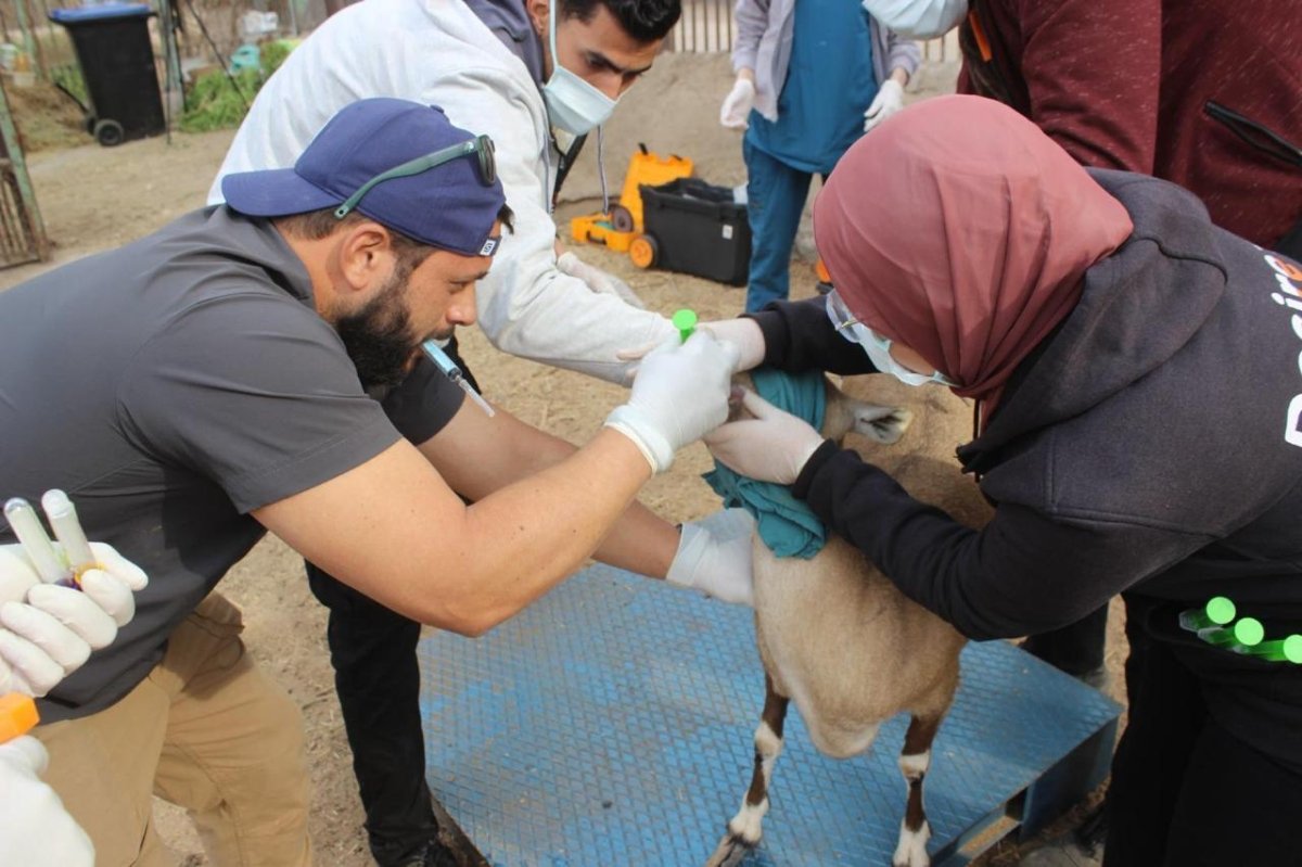 التحالف الوطني يستعين بأفضل الخبرات الدولية والمحلية لرعاية الحيوانات بحديقة الحيوان