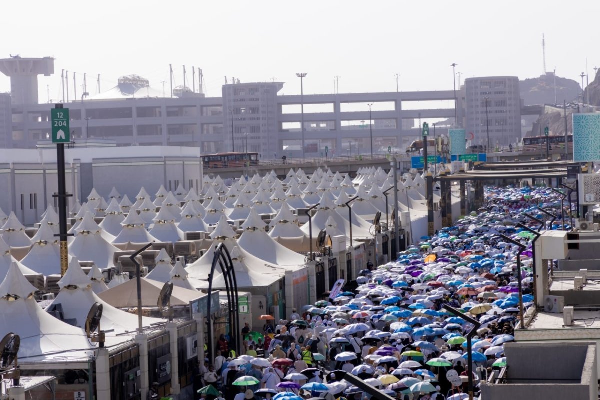 غرفة السياحة تشيد باحترافية «الماسية» في خدمة حجاج البري والخمس نجوم 