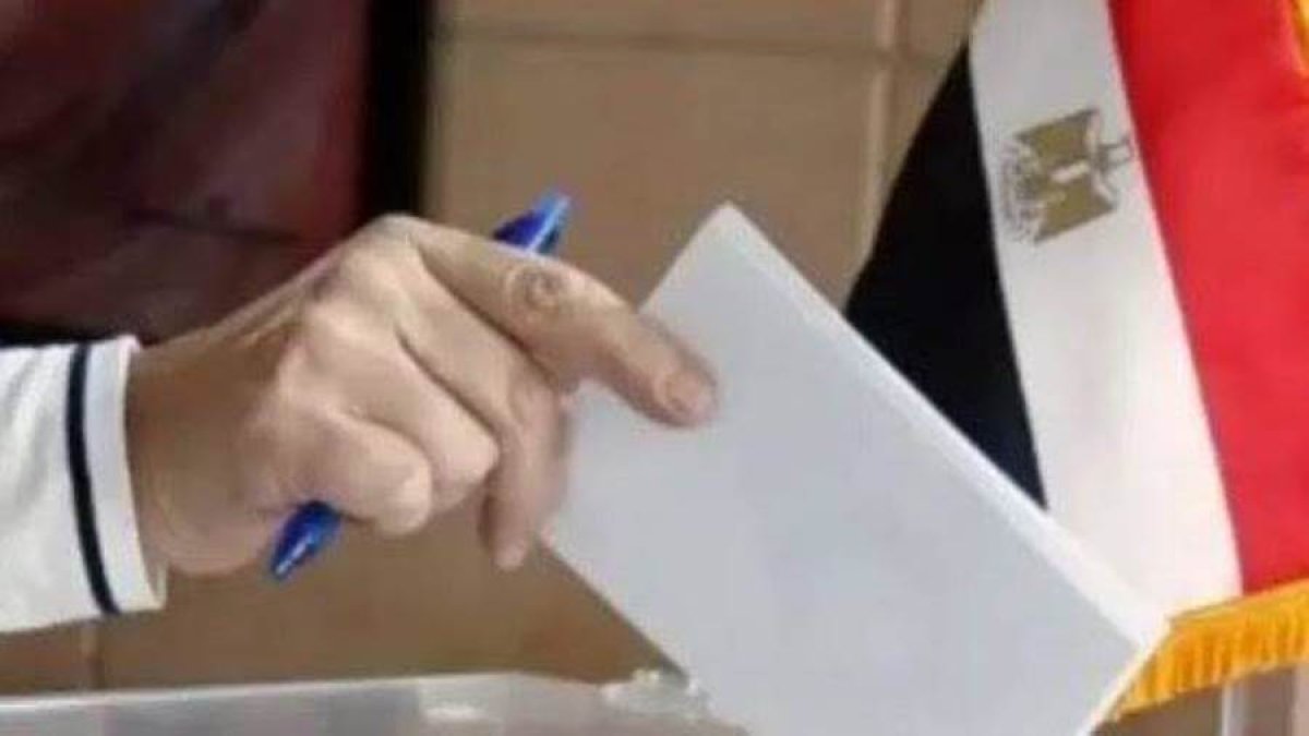 المصريون في الخارج يواصلون الإدلاء بأصواتهم في انتخابات مجلس الشيوخ 2025  