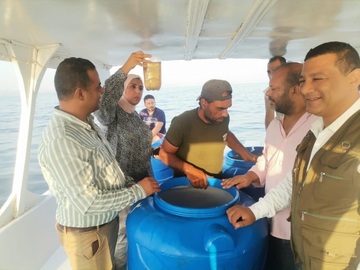 «جهاز حماية البحيرات»: دعم بحيرة قارون بيرقات الجمبري لتعزيز خطط إحياء البحيرة