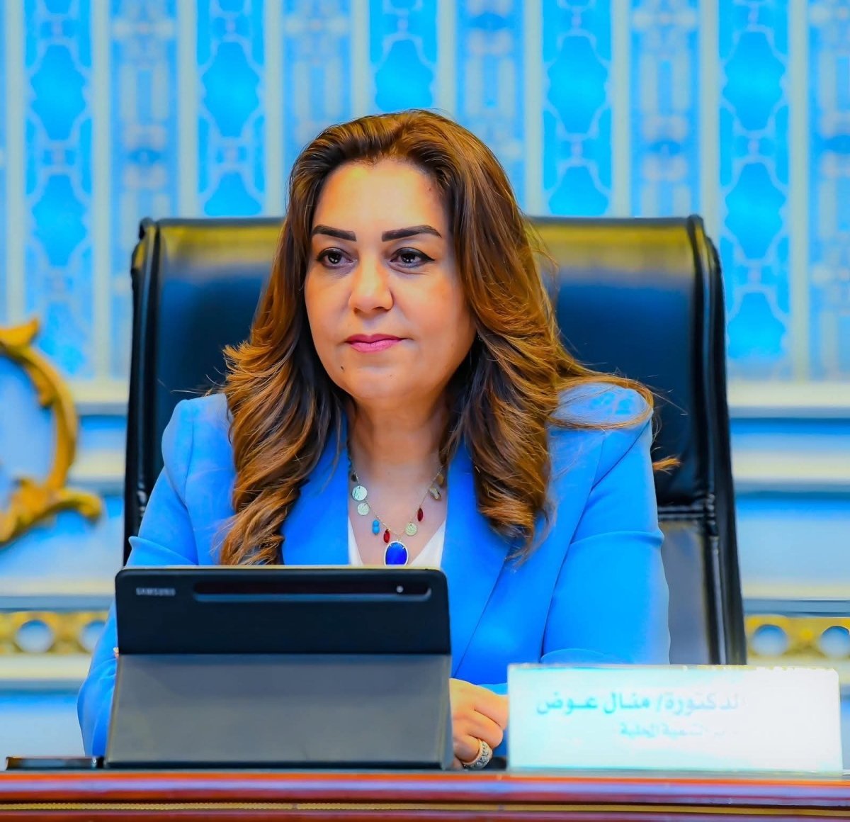 وزيرة التنمية المحلية تعتمد حركة محلية محدودة تتضمن 12 سكرتير عام وسكرتير مساعد في10 محافظات