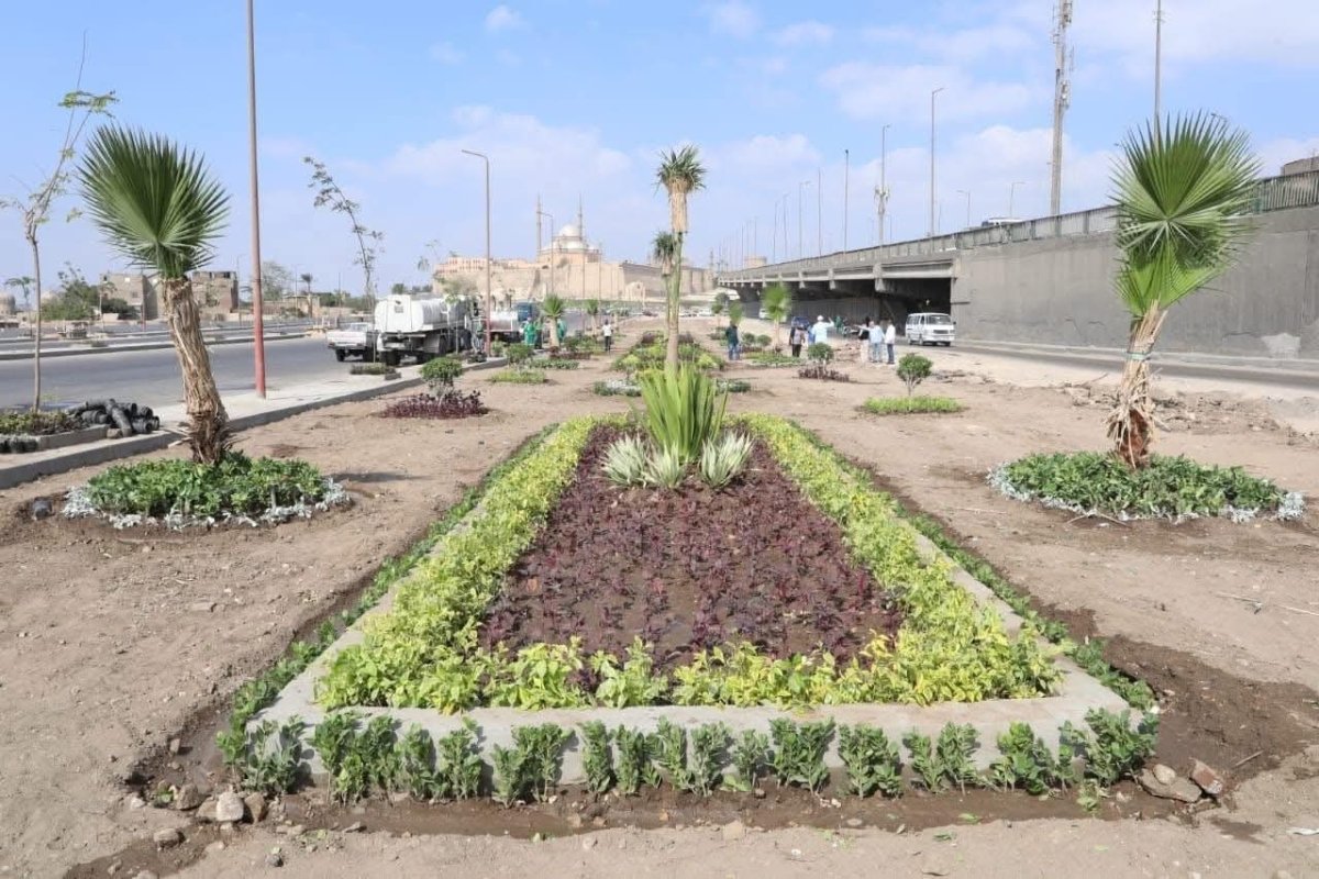 وزيرة التنمية المحلية تعلن انطلاق المرحلة الرابعة من المبادرة الرئاسية «100 مليون شجرة» بالفيوم