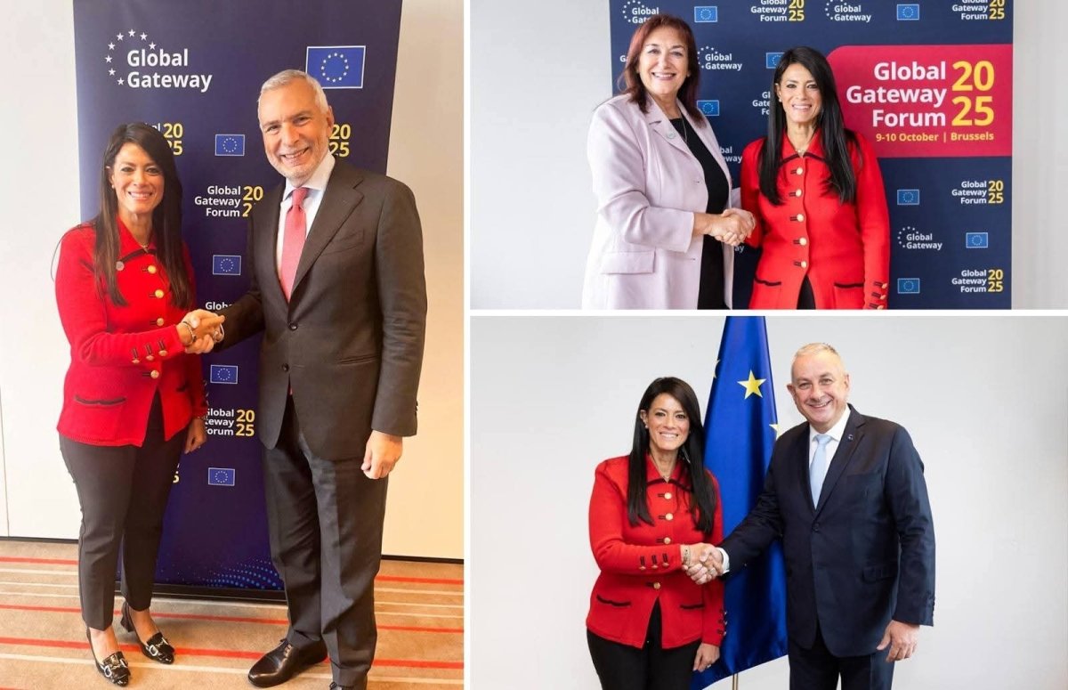 حصاد وإنجازات وزارة التخطيط والتنمية الاقتصادية والتعاون الدولي لعام 2025