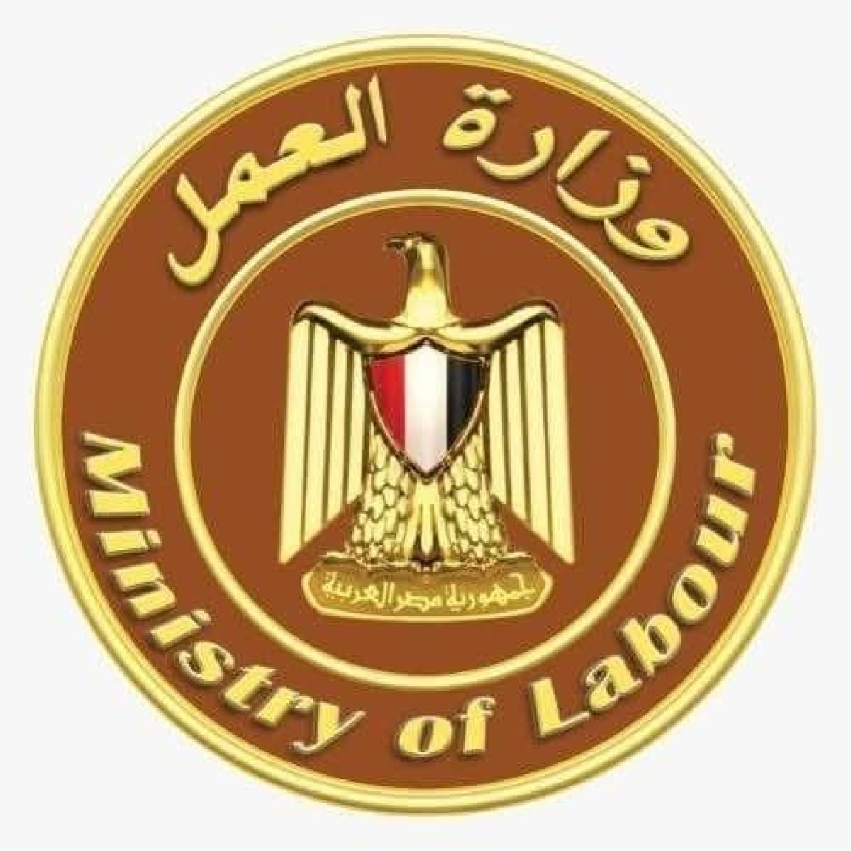  العمل تعلن فرص عملجديدة برواتب مجزية بمشروع الضبعة النووية  