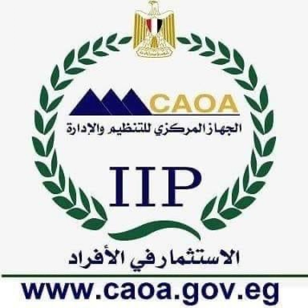 التنظيم والإدارة يطلق النسخة المطورة من بوابة الوظائف ويعلن لوزارة الري عن حاجتها لتعيين 238 مهندسا