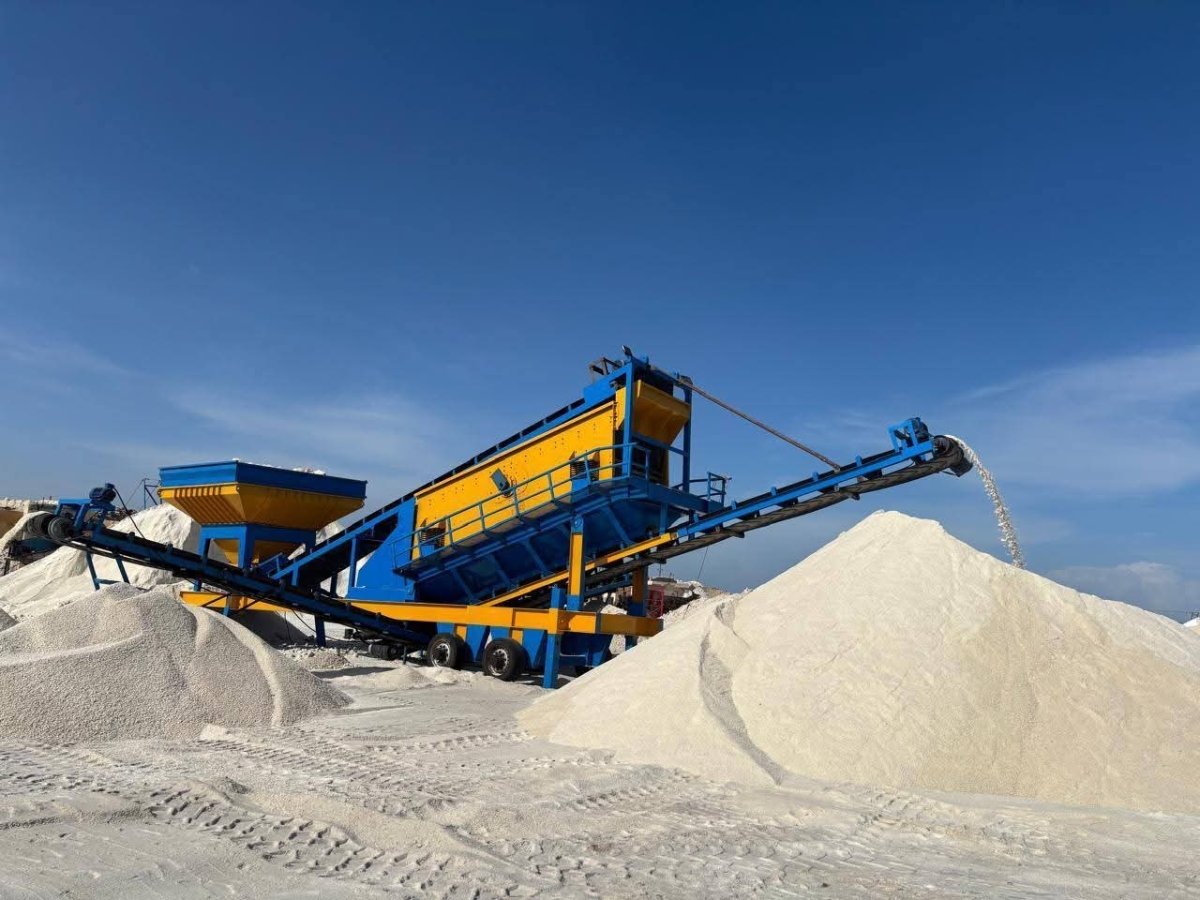 "قطاع الأعمال": "النصر للملاحات" تصدر أكبر شحنة ملح في تاريخها من ميناء العريش