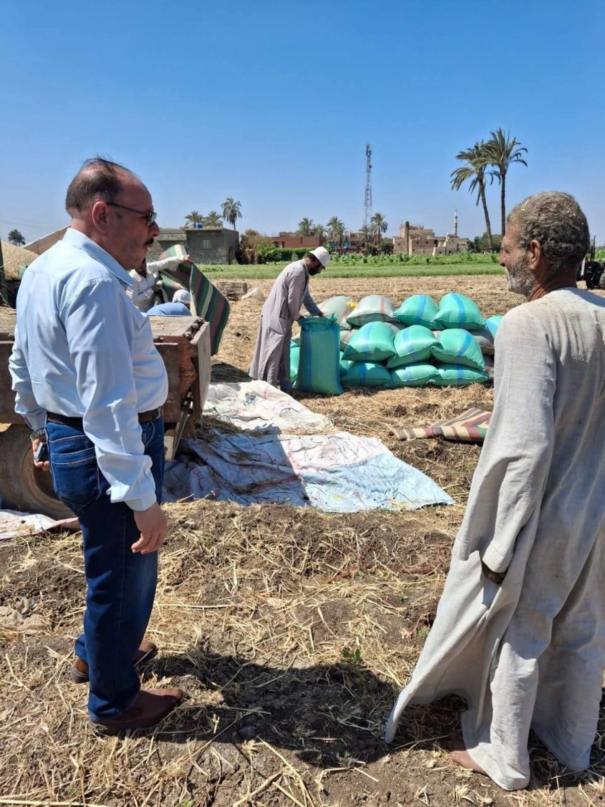 8.2 مليون شكارة أسمدة و342 غرفة عمليات فرعية: طوارئ في "مديريات الزراعة" لتقديم الخدمات ودعم المزارعين خلال العيد