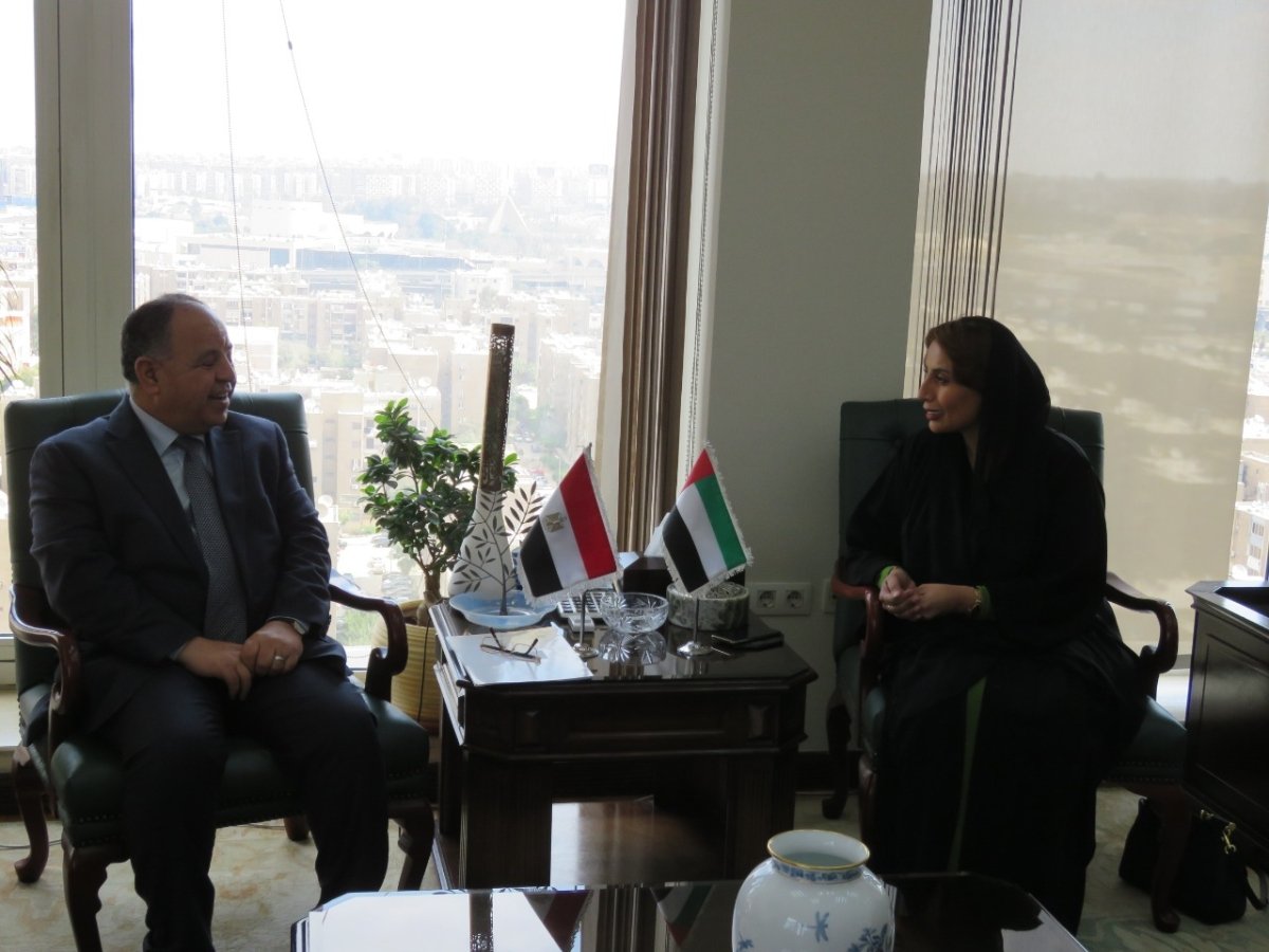 وزير المالية.. خلال لقائه مع سفيرة الإمارات الجديدة بالقاهرة:  التضامن العربى ركيزة أساسية لمواجهة التحديات العالمية
