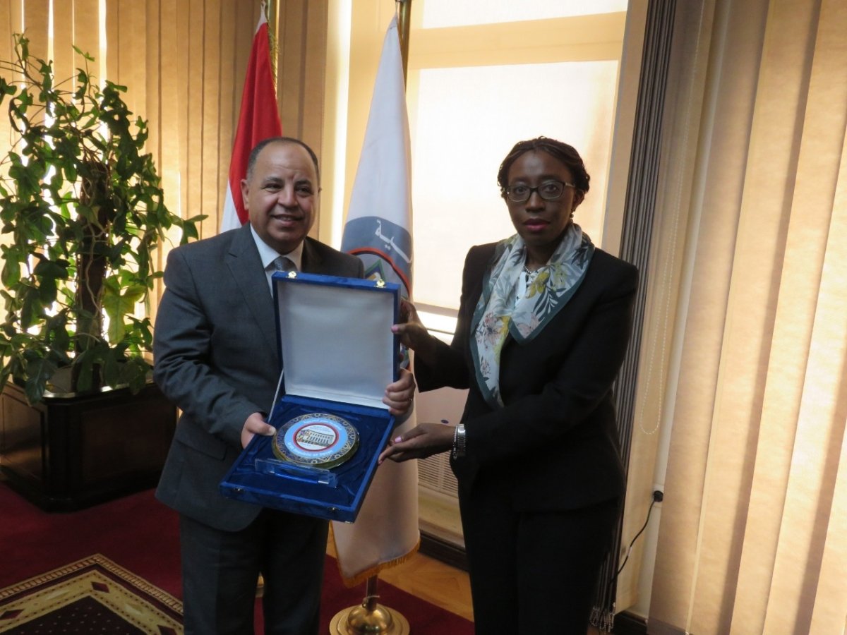 وزير المالية يدعو إلى رؤية أفريقية موحدة فى قضايا التمويل وتغير المناخ