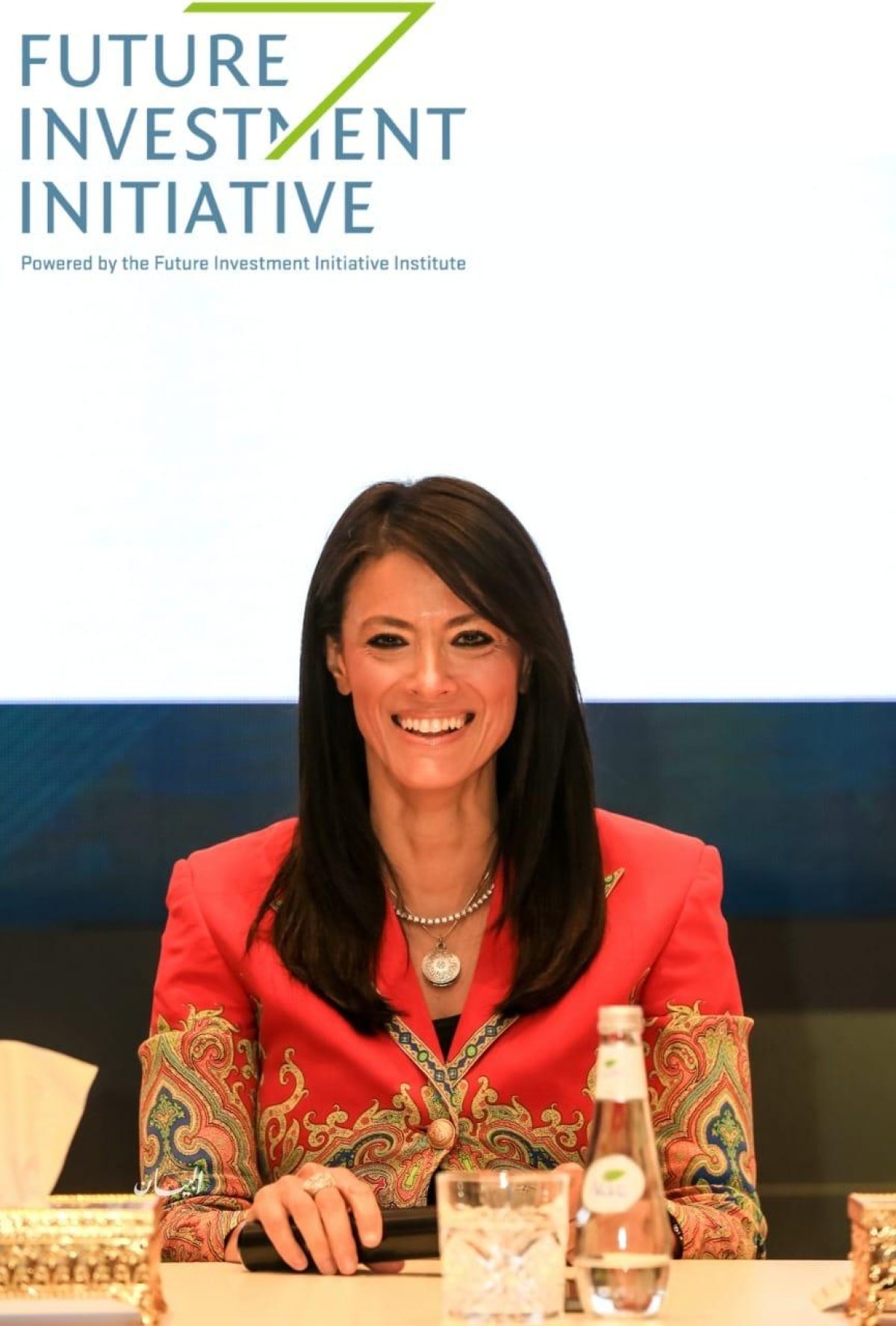 المشاط: «مليار دولار» حجم محفظة التعاون الدولي الجارية للرقمنة