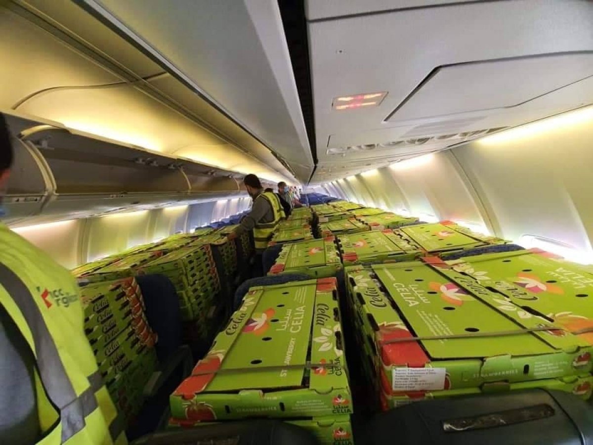 شركة مطار القاهرة للشحن الجوى تستعين بطائرة ركاب لنقل 16 طن بضائع  