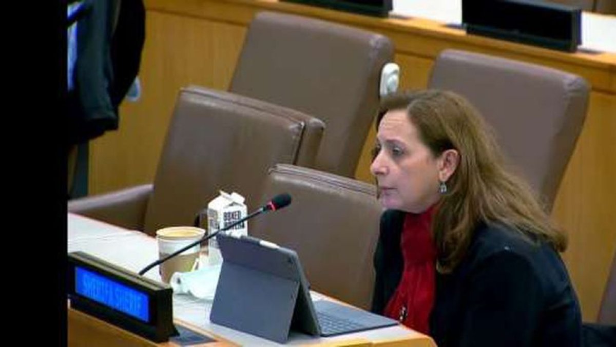 مدير «القومي للحوكمة» تشارك في الدورة الـ21 للجنة المجلس الاقتصادي للأمم المتحدة